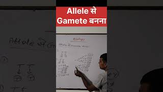 Allele से Gamete बननाvarl sorts NCERT physics Our study room Udayrajsir17 [upl. by Banyaz]