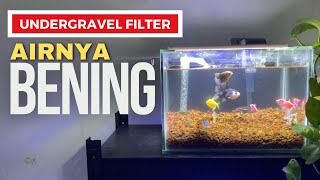 Undergravel Filter buat Ikan Mas Koki [upl. by Derinna351]