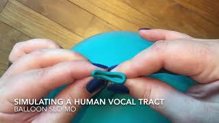 Simulating a human vocal tract Balloon Slo Mo [upl. by Nosidam]