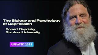 Robert Sapolsky The Biology and Psychology of Depression [upl. by Grath88]