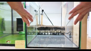 How to make a custom UGF to setup Shrimp Tank [upl. by Ailuj112]