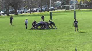 Suburbs Bs v Frankton 15 06 2024 2 [upl. by Krum]