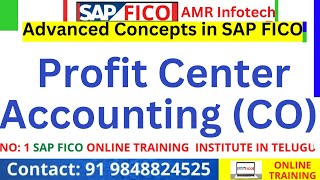 తెలుగు లో SAP Profit Center Accounting – What Is It  SAP FICO In Telegu [upl. by Derick]