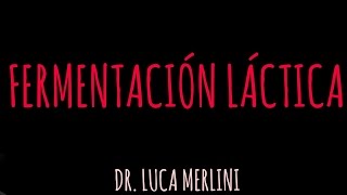 Fermentación Láctica [upl. by Adnalay819]