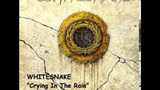 WHITESNAKE  Crying In The Rain  Instrumental Cover [upl. by Arabel]