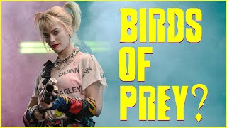 How The Birds Of Prey Movie Demonstrates The Problem With The DCEU [upl. by Neumann400]