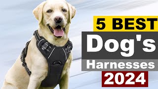 Top 5 Best Dog Harnesses  Best Harnesses For Your Pet Dog [upl. by Saeger]