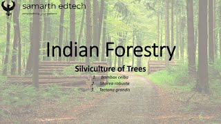 Silviculture of trees  Indian Forestry Lecture10 [upl. by Drapehs]