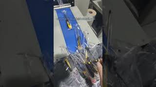 Screwdriver Packaging Machine [upl. by Centonze163]