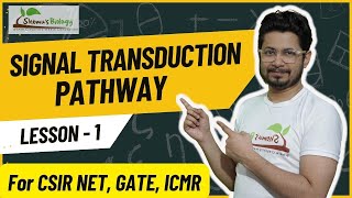 Signal transduction pathway  How signal transduction pathway works [upl. by Outhe404]