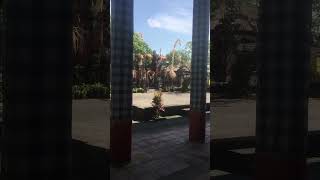 Barong dance bali barongan bapangbarong fypシ゚viral hiburan nature [upl. by Ahseinod756]