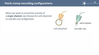 S1E4 The patch clamp technique [upl. by Samy]