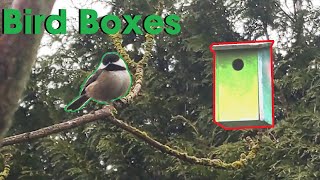 Why We Build Bird Boxes Education Programs [upl. by Billen]