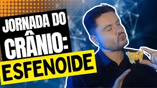 Anatomia do Osso Esfenoide [upl. by Aehsrop45]