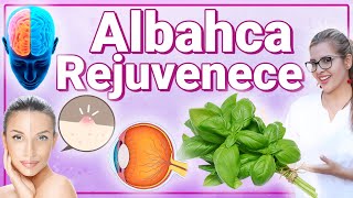 Albahaca Para Todo  Para Qué Sirve  Beneficios Para Tu Salud Y Belleza [upl. by Amando]