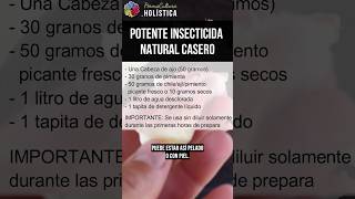 💥 POTENTE INSECTICIDA ECOLÓGICO CASERO 🌱 para CURAR tus PLANTAS  Versión uso instantáneo [upl. by Ladd]