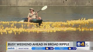 Broad Ripple duck races kick off with third straight summer of construction in the village [upl. by Brande]