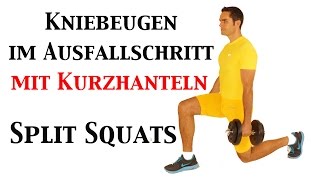 Kniebeugen im Ausfallschritt mit Kurzhanteln  Split Squats [upl. by Nisior]