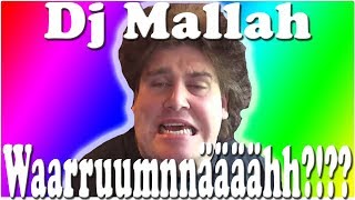 Dj Mallah  Warrrruummmääh [upl. by Atoiganap]