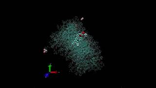 VMD BromoformPeroxisome interaction [upl. by Asilla]