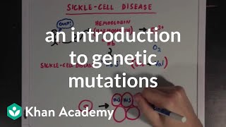 An introduction to genetic mutations  Biomolecules  MCAT  Khan Academy [upl. by Neelsaj]