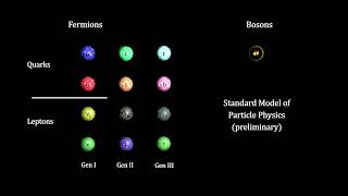 L11 Fermions Bosons and Fields Quantum Field and Matter [upl. by Ahsirat675]