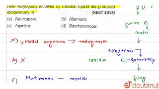 After karyogamy followed by meiosis spres are produced exogenously in [upl. by Ias]