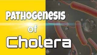 Cholera  Microbiology [upl. by Eannyl]