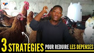 Partie 11 MES 03 STRATEGIES pour REDUIRE les DEPENSES sur MA FERME de POULET élevage de poulet [upl. by Asenab132]