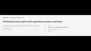 Prefrontal cortex and social cognition in mouse and man  RTCLTV [upl. by Punak77]