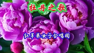 红苹果女子合唱团演唱《牡丹之歌》请欣赏女声版牡丹之歌。 [upl. by Alyse]