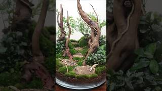 How closed terrariums work [upl. by Garlaand]