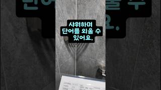 기억력 향상을 위해 공부시간을 늘리기 위해샤워하며 단어를 외울 수 있어요단어암기공부영어study [upl. by Aynotal956]