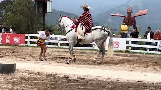 Zapateando JuyayayAnimal Park BañosEcuador [upl. by Ahsuoj]