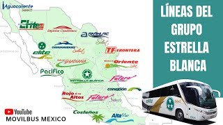 Conoce las marcas del Grupo Estrella Blanca [upl. by Auburta]