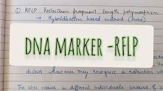 RFLP  Restriction fragment length polymorphism  DNA markers [upl. by Seabrooke]