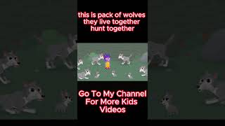 this is pack of wolves they live together hunt together childrenseducation kidssongs kidslearning [upl. by Koss]