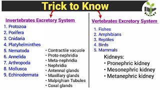 Trick to know Invertebrates and Vertebrates Excretory System  Very Important for Zoology Students [upl. by Neerroc]