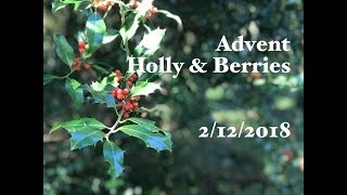 EASY CROCHET CHRISTMAS ORNAMENTS  Holly amp Berries  Ophelia Talks Crochet [upl. by Jarrow786]