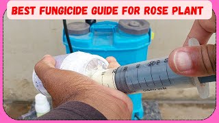 quotTop Fungicides for Rose Plants Dosage and Application Guidequot [upl. by Divadnoj]