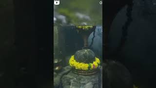 har har Mahadev shambhu nath 🙏harharmahadev mahadev mahakal shambhu viral trending viralvideo [upl. by Paugh]