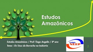 Estudos Amazônicos Os Usos da Borracha na Indústria  8º Ano  Colégio NEEP [upl. by Calesta383]