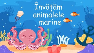 Invatam animalele marine [upl. by Buschi]