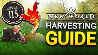 Level Up Harvesting FAST Route amp Tips  New World Harvesting Guide [upl. by Michella557]