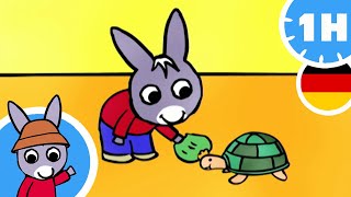 🐢 Trotro findet eine Schildkröte 🐢  Cartoon für Baby [upl. by Griselda988]