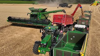 Großeinsatz Weizenernte 2022  4 Mähdrescher Fendt Claas JD Traktoren Landwirtschaft Wheat Harvest [upl. by Canada]