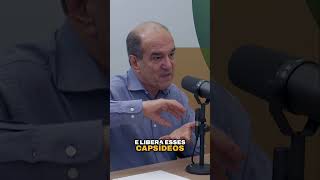 ENTENDA o que é Baculovírus e seu IMPACTO na lavoura podcastagro [upl. by Chew663]