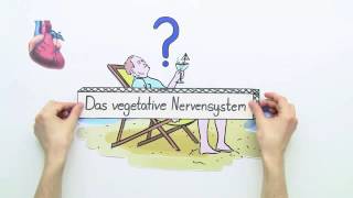 DAS VEGETATIVE NERVENSYSTEM  Biologie  Neurobiologie und Verhalten [upl. by Gurango]