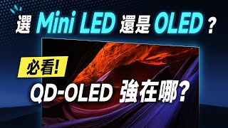 「邦尼評測」必看！QDOLED 強在哪？2023 選 Mini LED 還是 OLED？三星最頂 OLED 電視就這台！Samsung OLED S95C 開箱評測（三星 OLED 值不值得買？ [upl. by Peppi11]