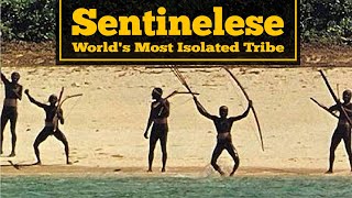 Who Are The Sentinelese  Braintastic Investigates [upl. by Gayler]